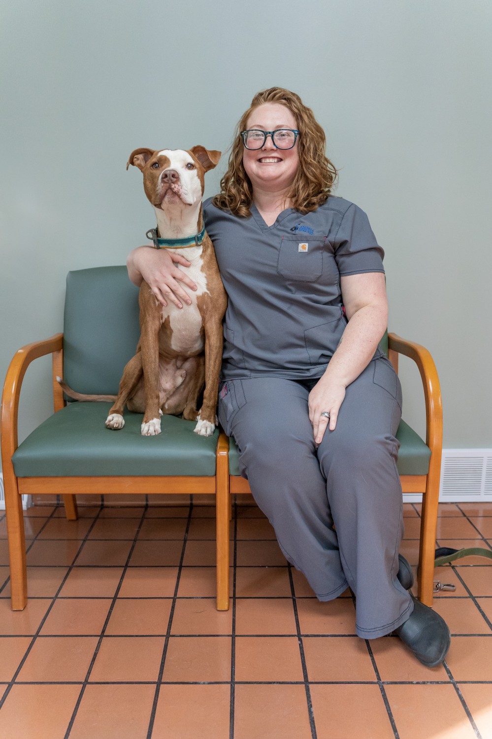 Our Team Lyndon Veterinary Clinic Fayetteville, NY